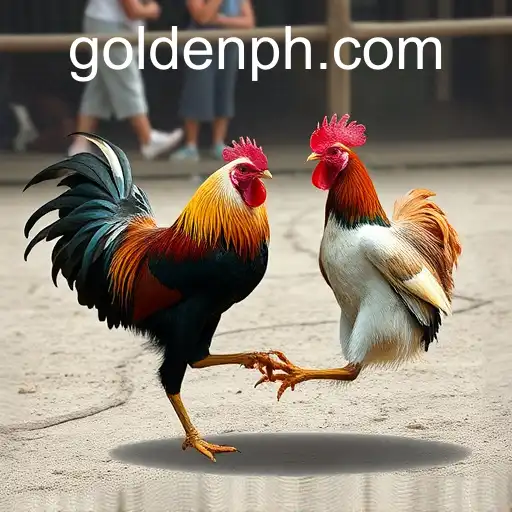 Security and Trust PHGolden.COM - International Licenses and Certifications